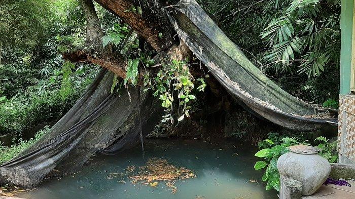 Rahasia Dibalik Mata Air Ajaib di Desa Nyamplong